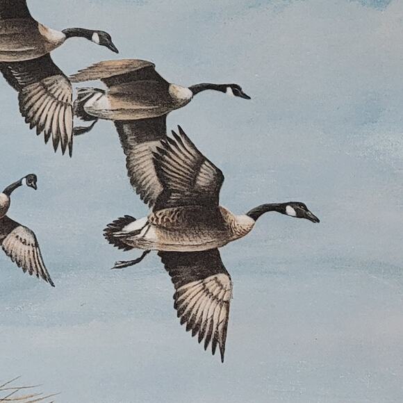 1981 Duck Stamp Press Print Pencil Signed & Numbered By Clark Sullivan 23x18 - Picture 5 of 8